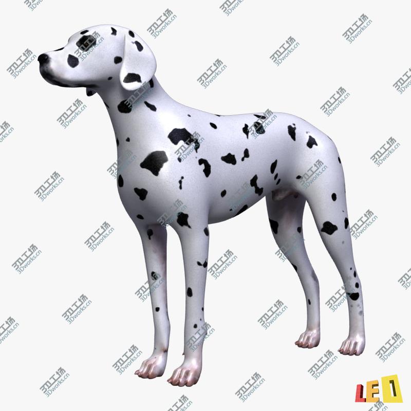 images/goods_img/20210313/Dog Anatomy (Textured)/3.jpg